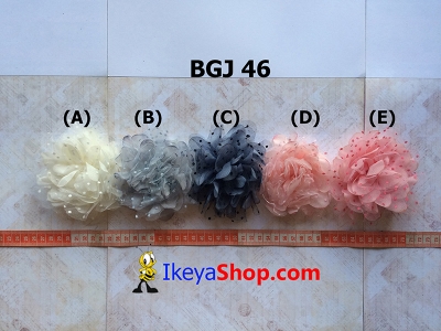 BGJ 46 A E  large2